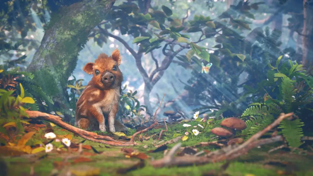 Adorable Adventures